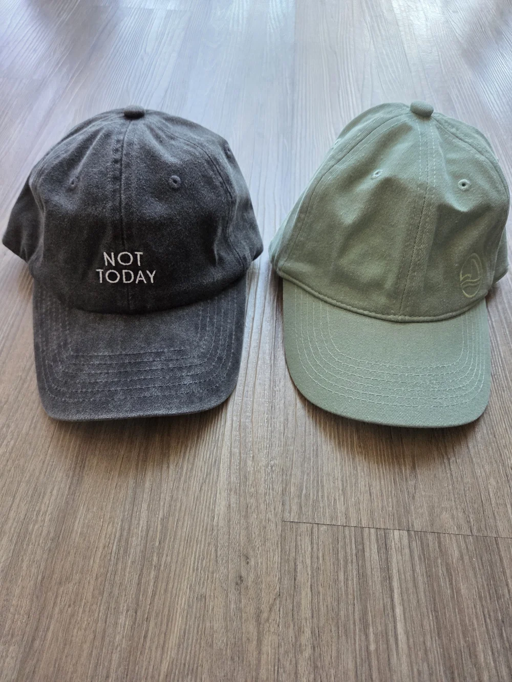 NWOT Caps: Arey Not Today Charcoal Gray & Biossance Sage Green Dad Hats Lot of 2